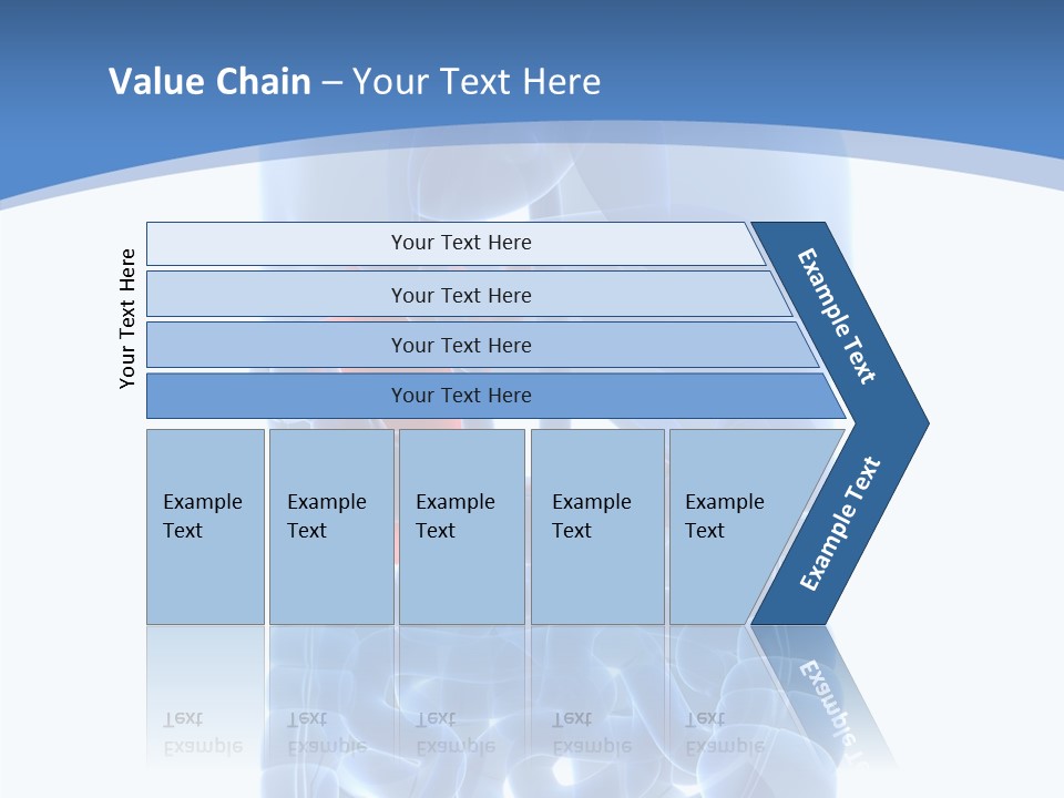 Belly Painful Biology PowerPoint Template