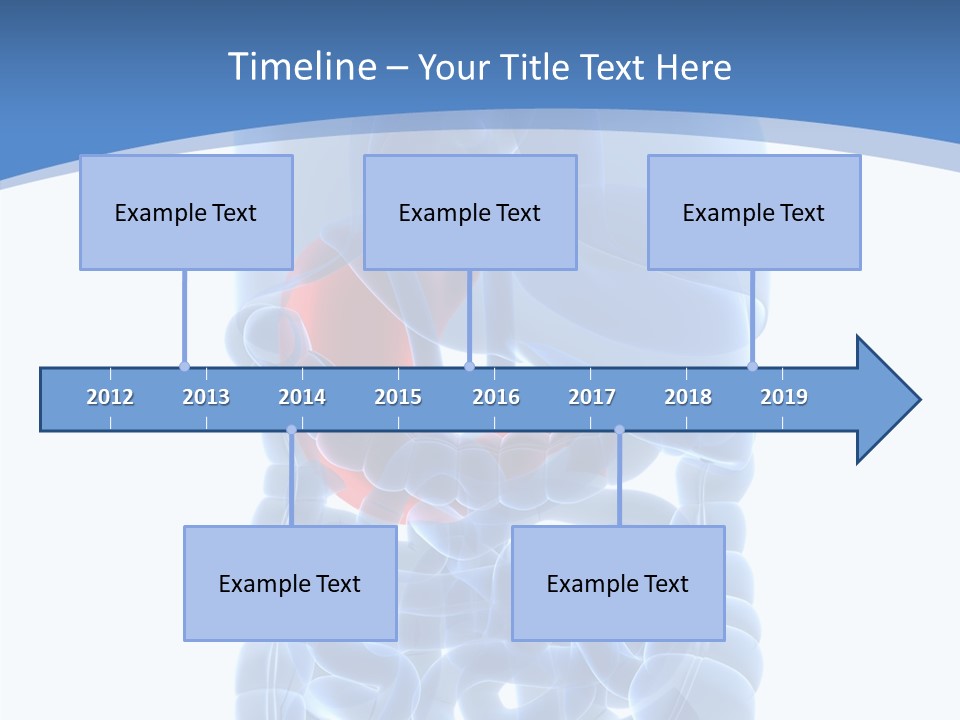 Belly Painful Biology PowerPoint Template