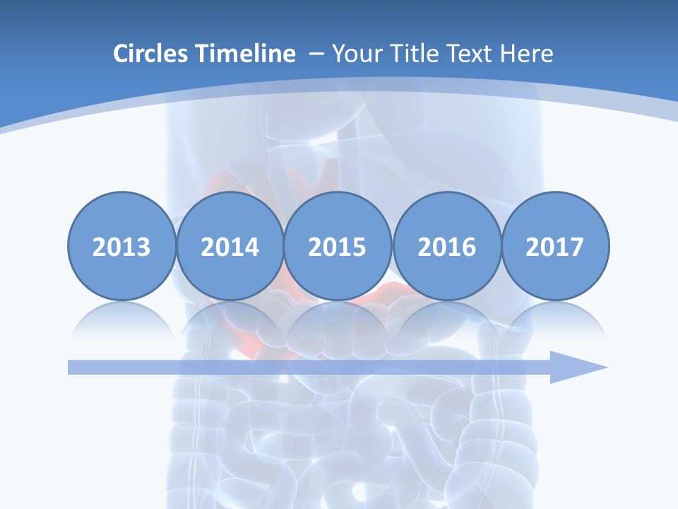 Belly Painful Biology PowerPoint Template