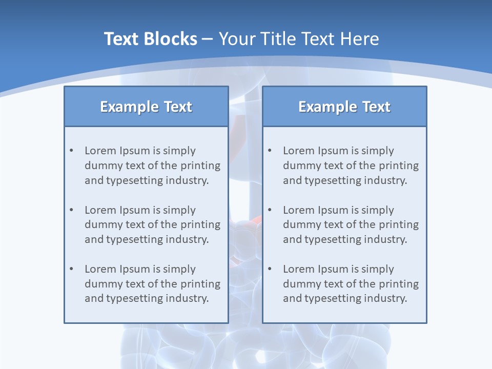 Belly Painful Biology PowerPoint Template