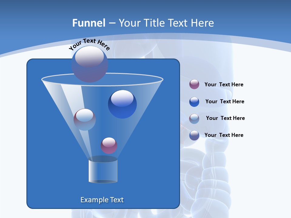 Belly Painful Biology PowerPoint Template