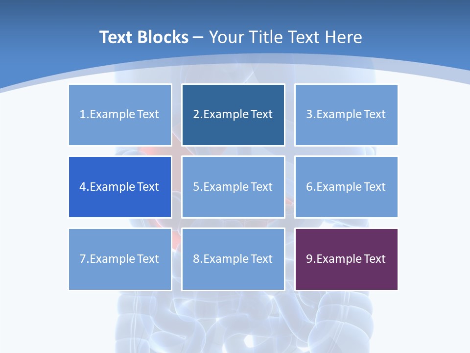 Belly Painful Biology PowerPoint Template