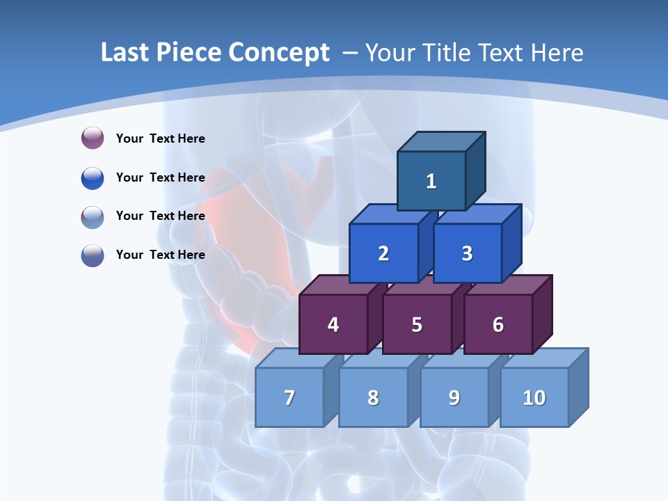Belly Painful Biology PowerPoint Template