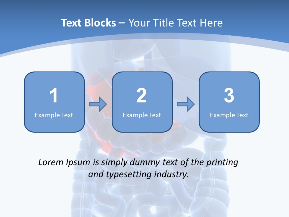 Belly Painful Biology PowerPoint Template