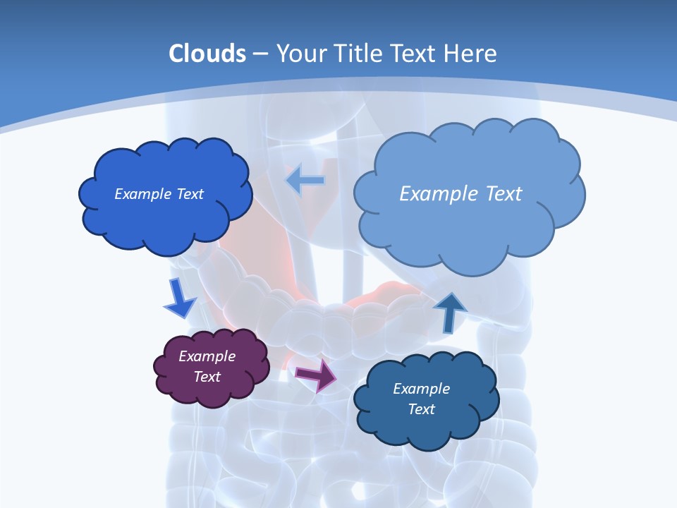 Belly Painful Biology PowerPoint Template