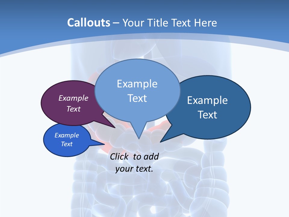 Belly Painful Biology PowerPoint Template