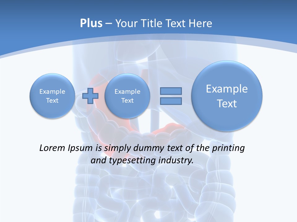 Belly Painful Biology PowerPoint Template