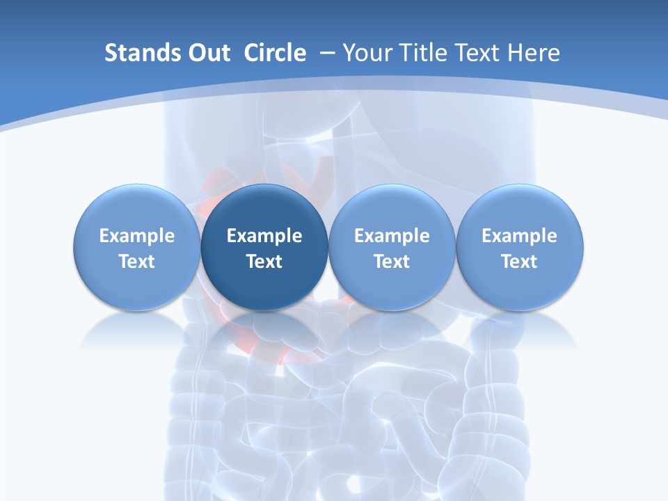 Belly Painful Biology PowerPoint Template