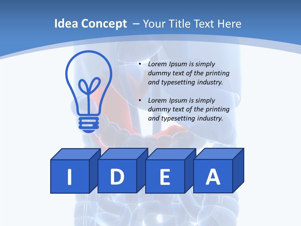 Belly Painful Biology PowerPoint Template