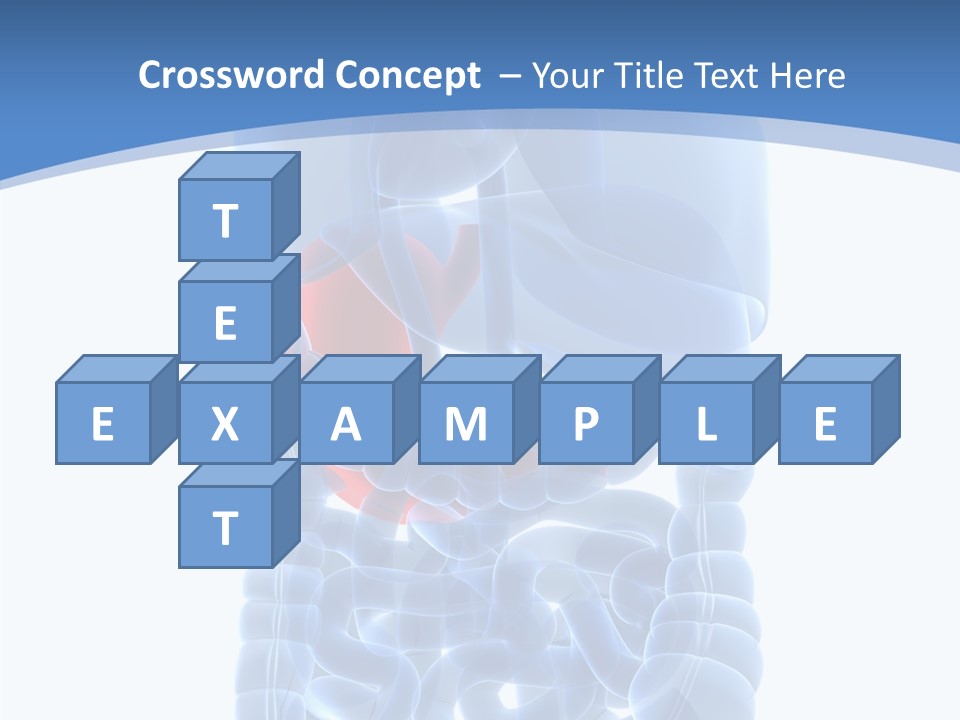 Belly Painful Biology PowerPoint Template