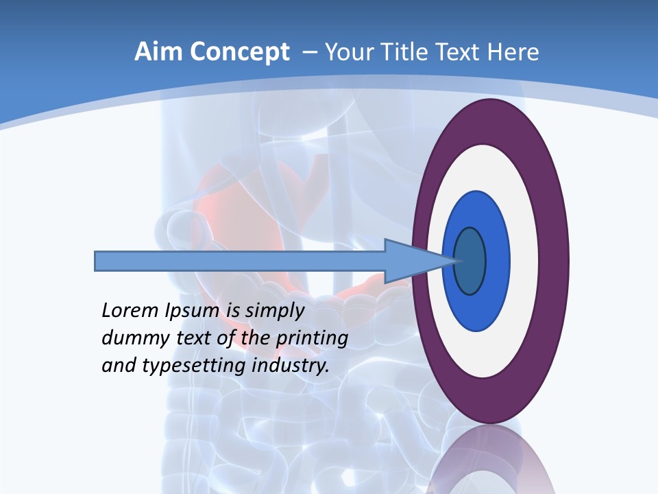 Belly Painful Biology PowerPoint Template