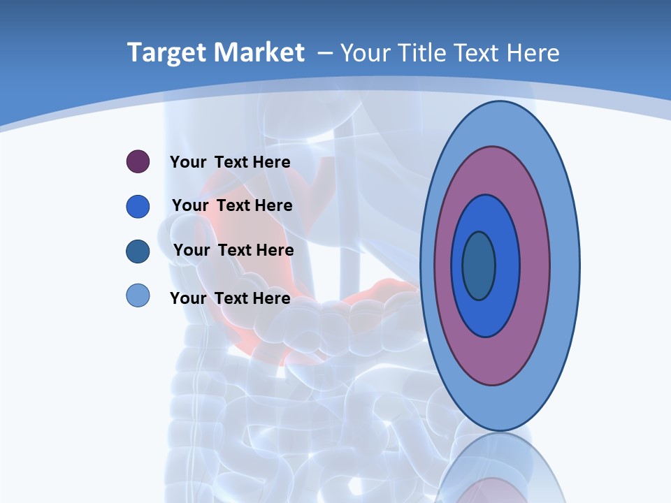 Belly Painful Biology PowerPoint Template