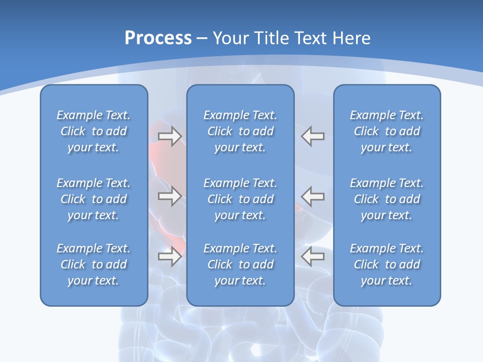Belly Painful Biology PowerPoint Template