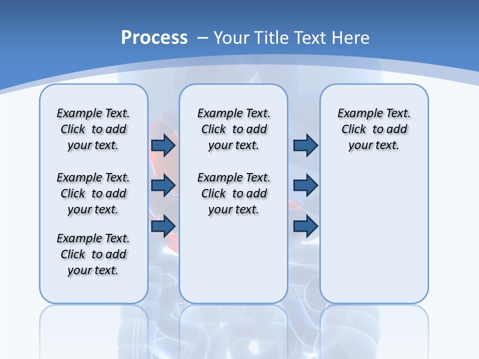Belly Painful Biology PowerPoint Template