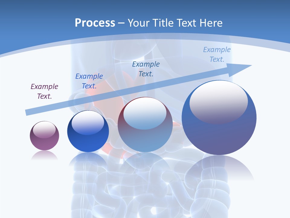 Belly Painful Biology PowerPoint Template