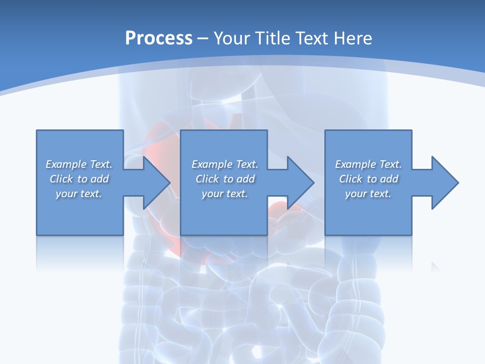 Belly Painful Biology PowerPoint Template