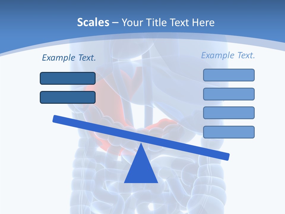 Belly Painful Biology PowerPoint Template