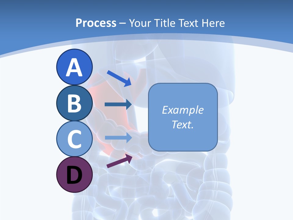 Belly Painful Biology PowerPoint Template