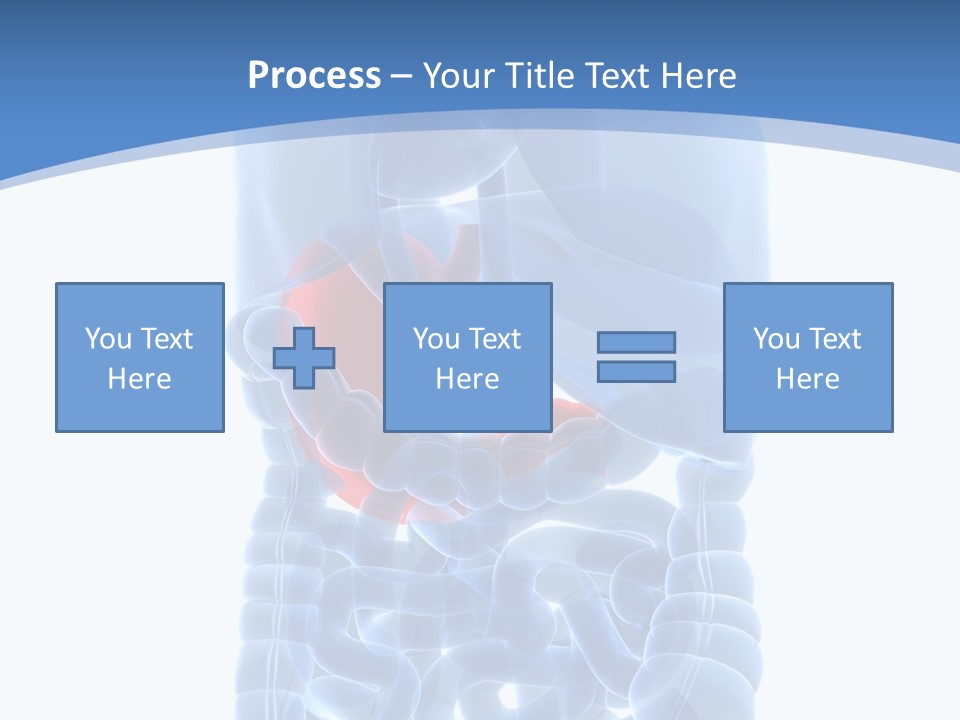 Belly Painful Biology PowerPoint Template