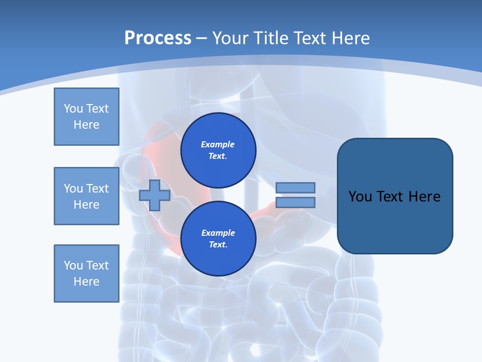 Belly Painful Biology PowerPoint Template