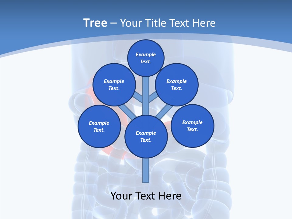 Belly Painful Biology PowerPoint Template
