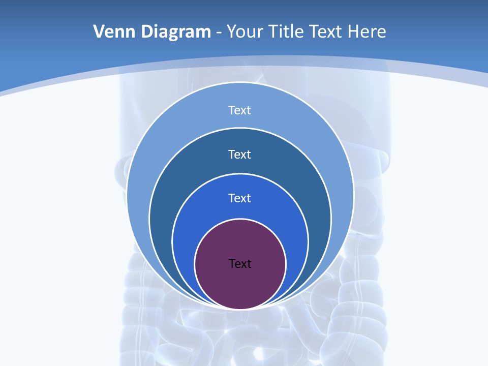 Belly Painful Biology PowerPoint Template