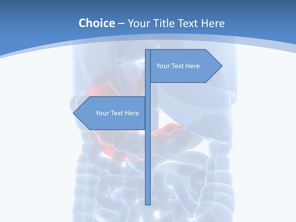 Belly Painful Biology PowerPoint Template