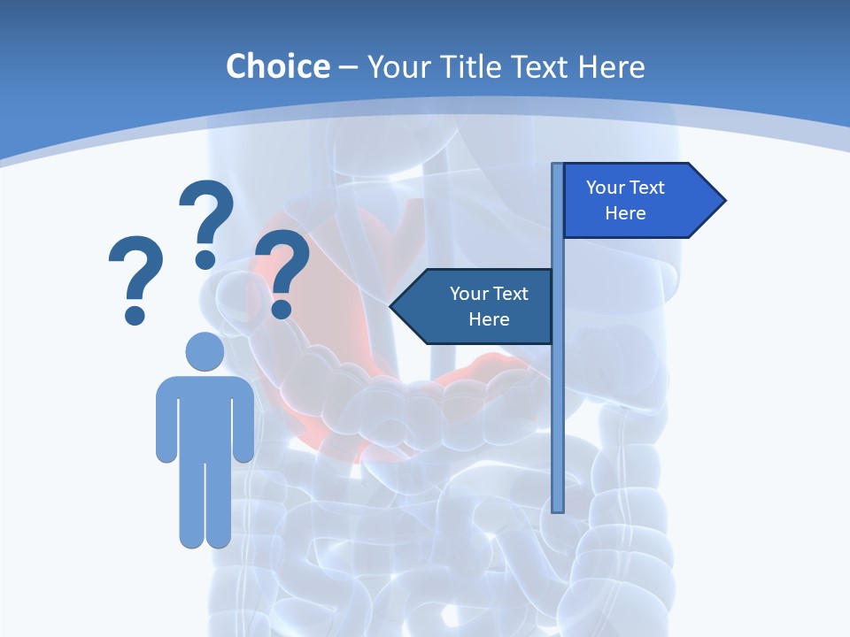 Belly Painful Biology PowerPoint Template