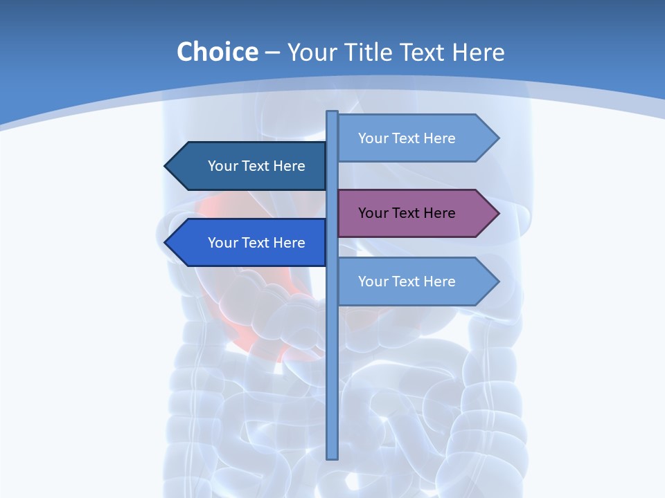 Belly Painful Biology PowerPoint Template