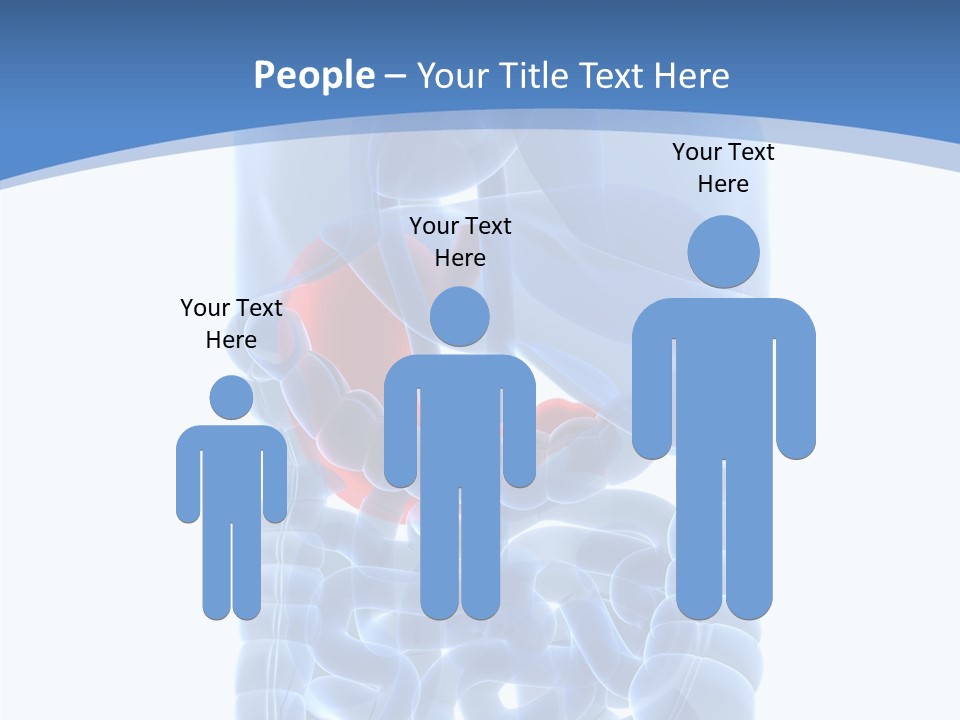 Belly Painful Biology PowerPoint Template