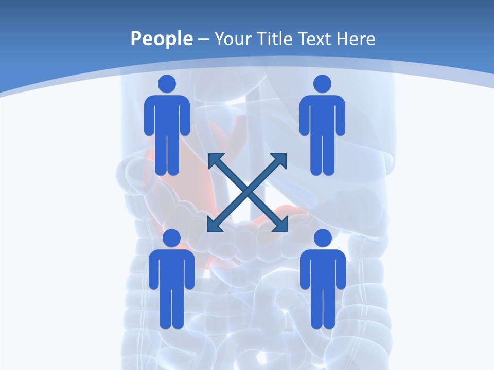 Belly Painful Biology PowerPoint Template