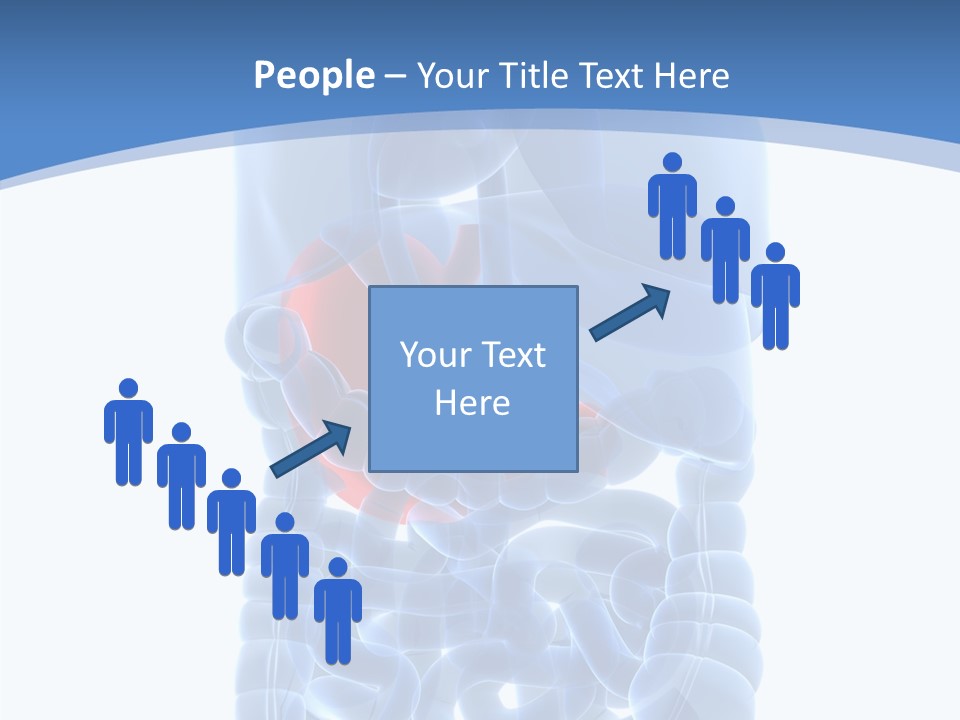 Belly Painful Biology PowerPoint Template