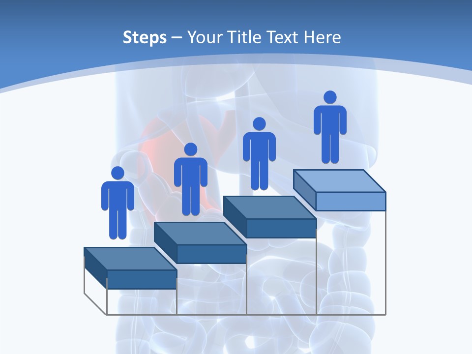 Belly Painful Biology PowerPoint Template