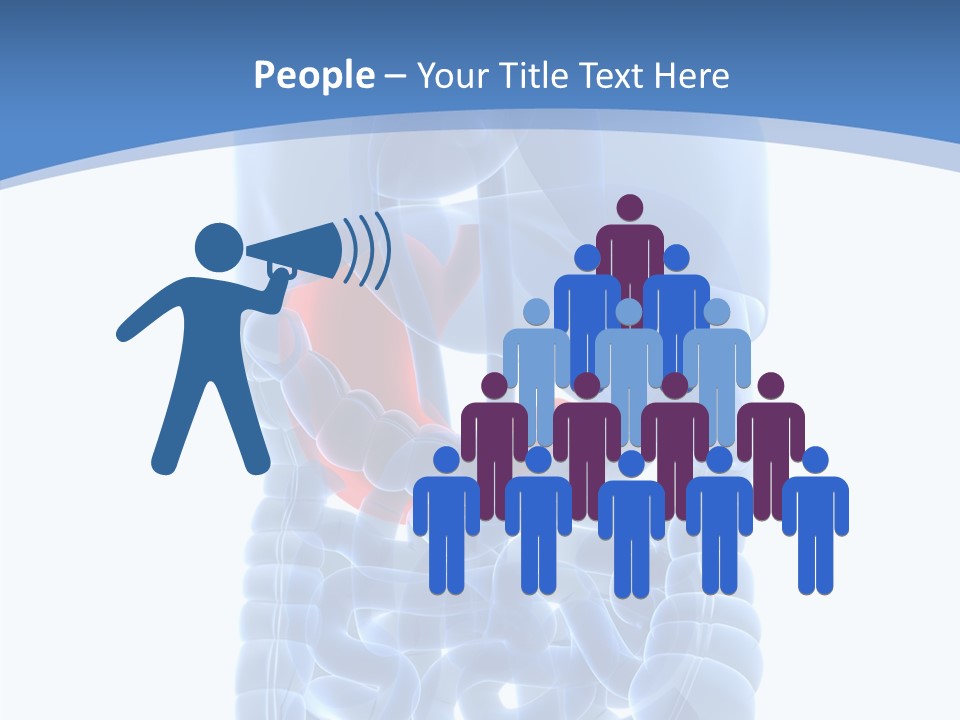 Belly Painful Biology PowerPoint Template