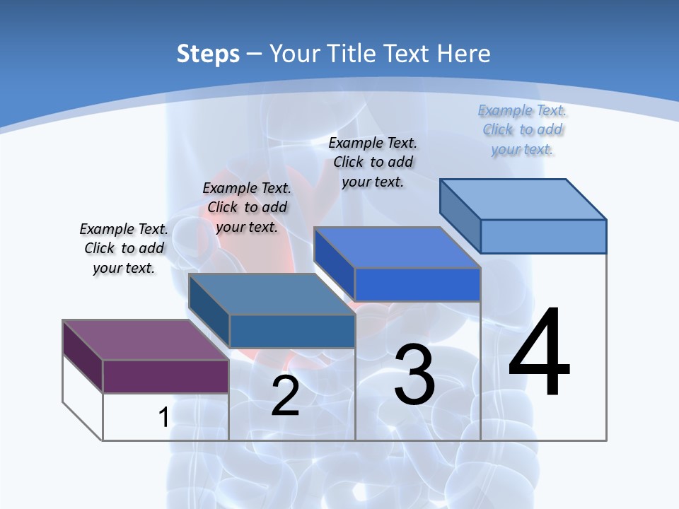 Belly Painful Biology PowerPoint Template