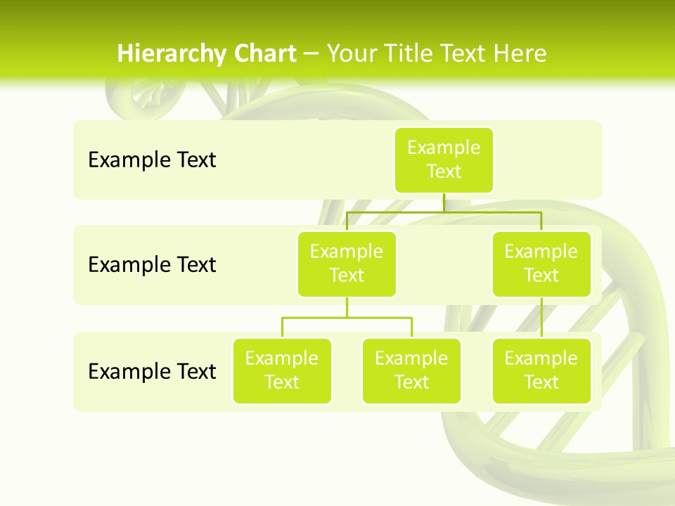 Research Coding Orange PowerPoint Template