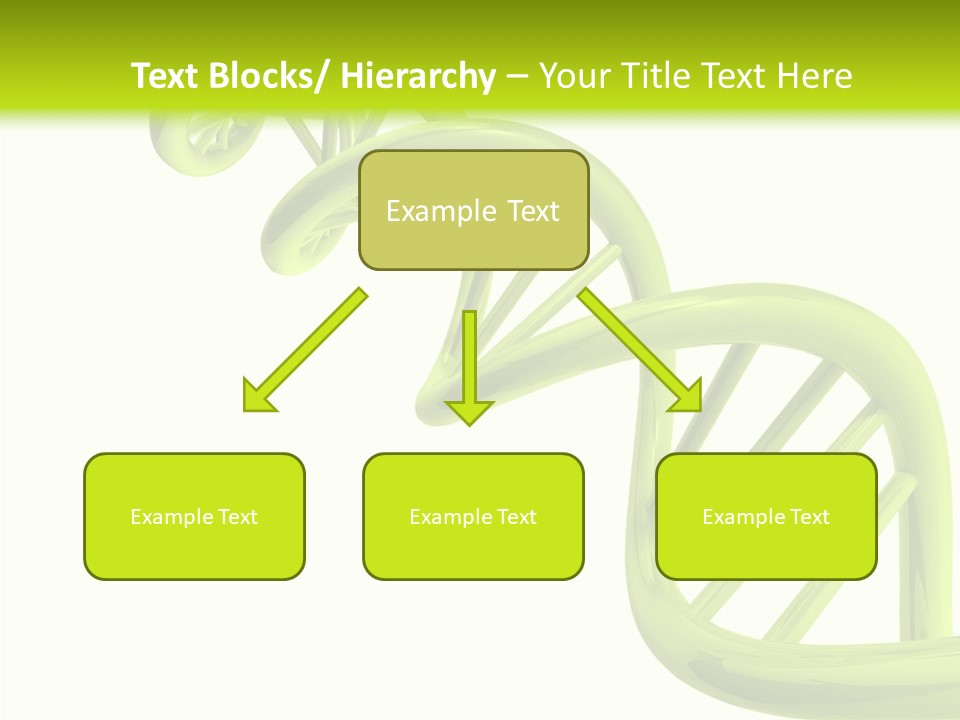 Research Coding Orange PowerPoint Template