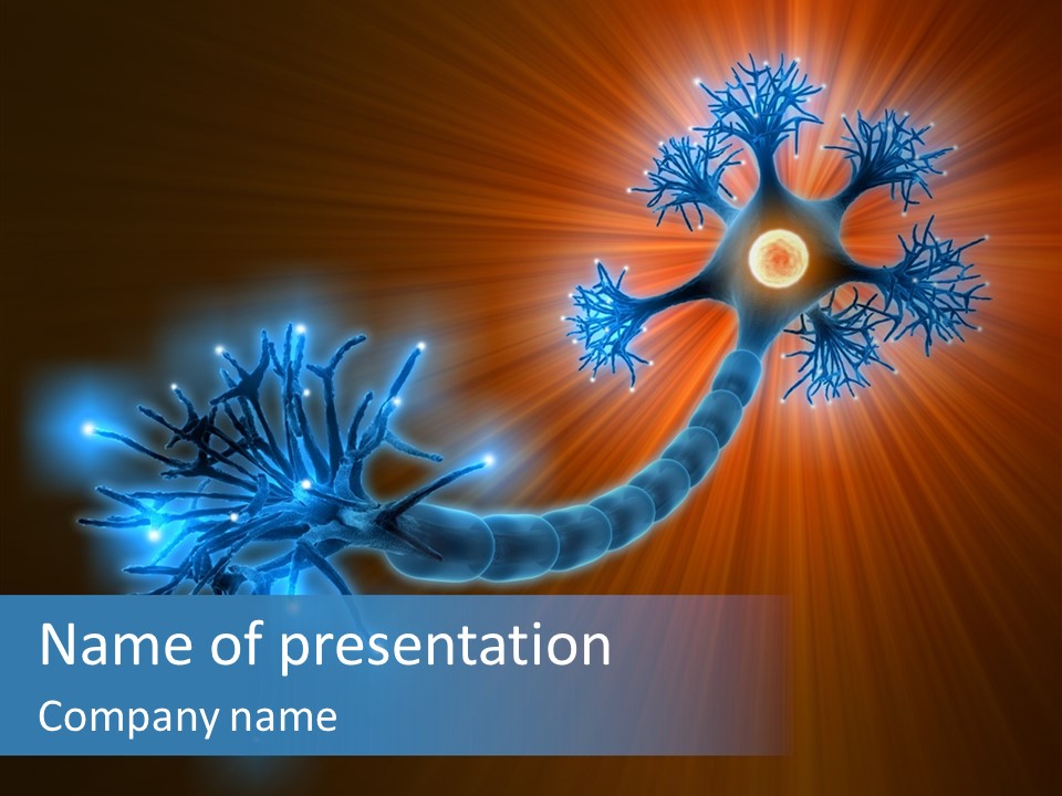 Anatomy Energy D PowerPoint Template