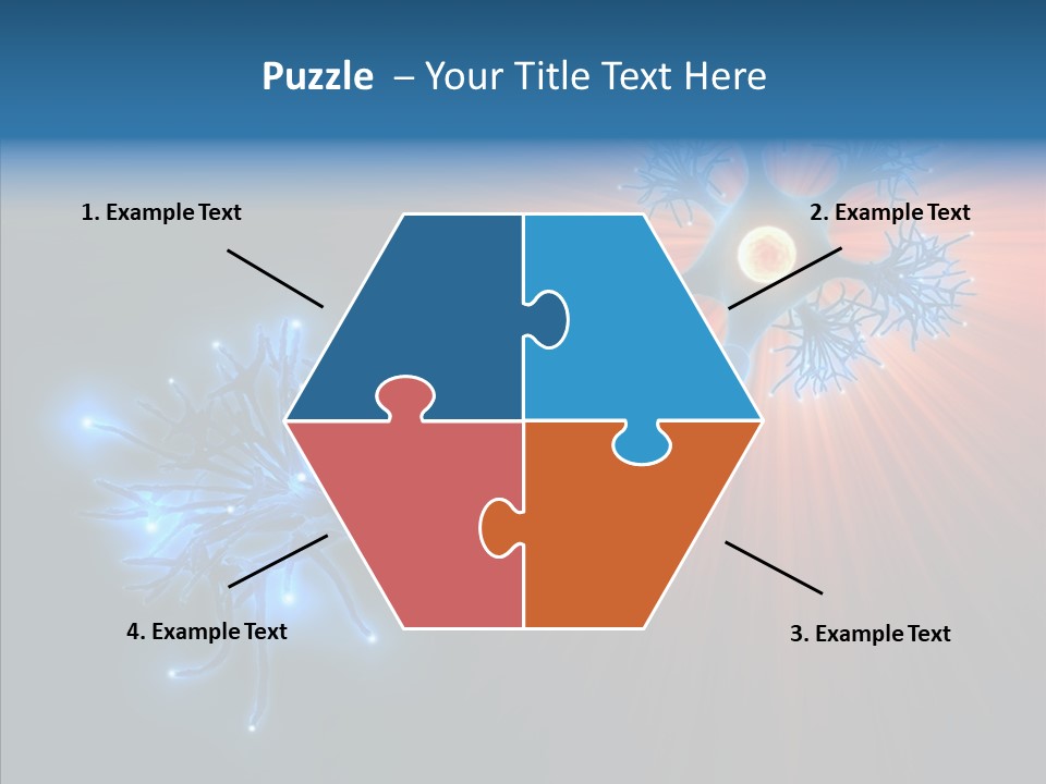 Anatomy Energy D PowerPoint Template