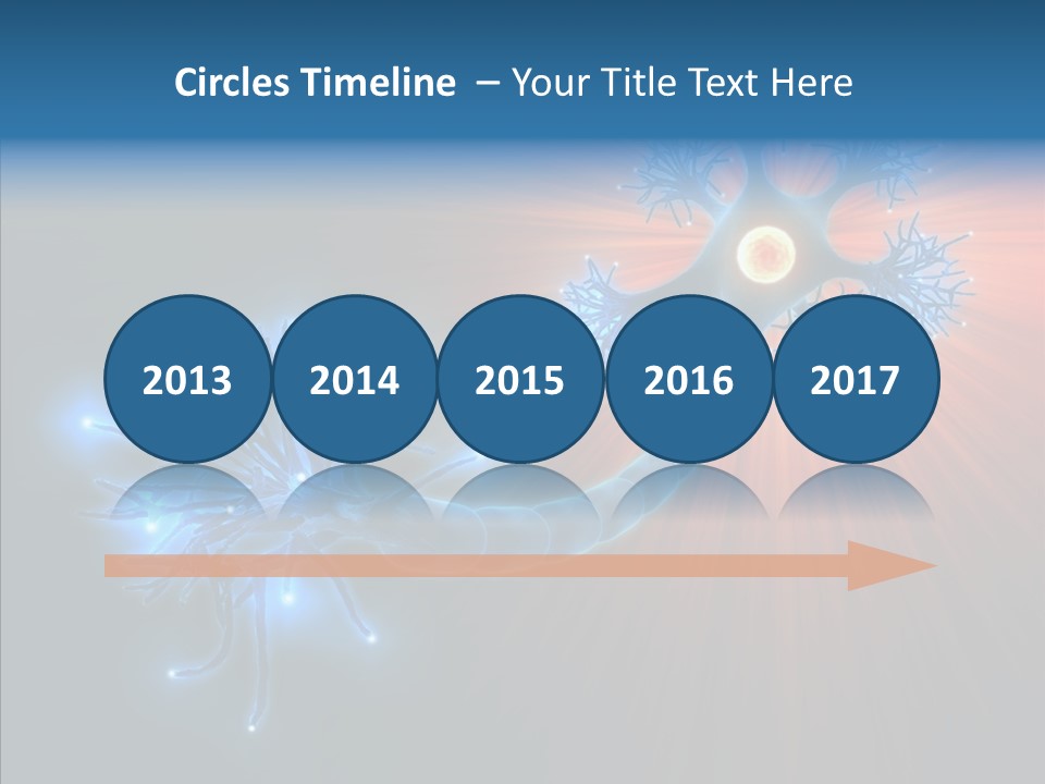 Anatomy Energy D PowerPoint Template