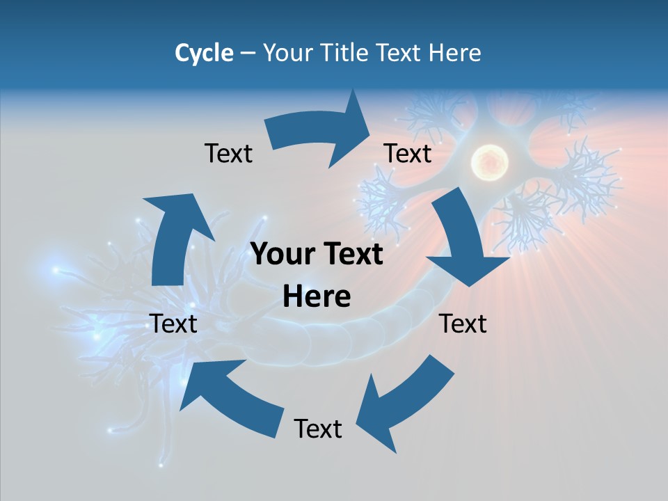 Anatomy Energy D PowerPoint Template