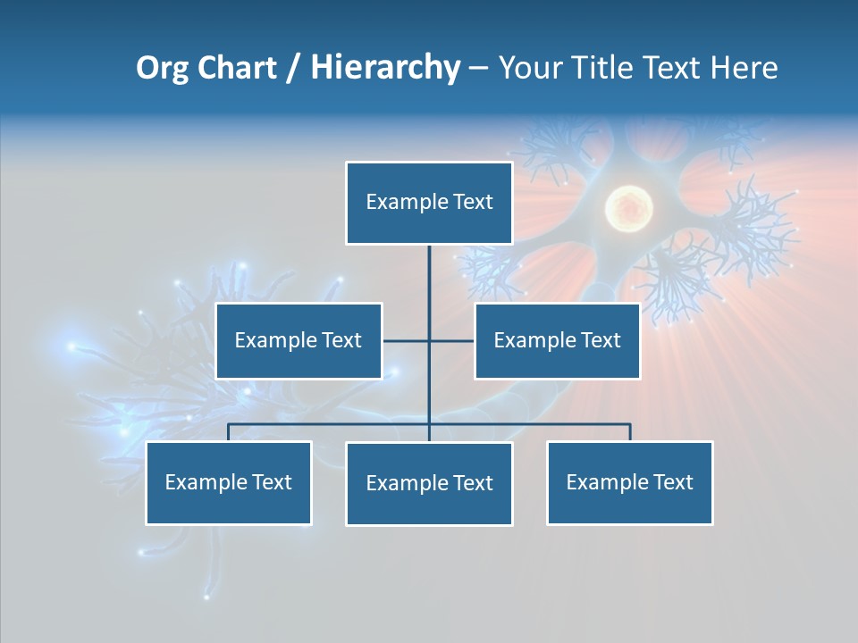 Anatomy Energy D PowerPoint Template