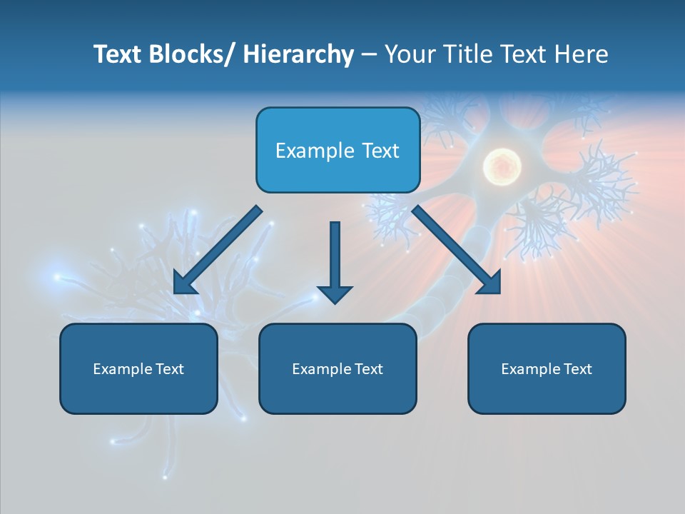 Anatomy Energy D PowerPoint Template