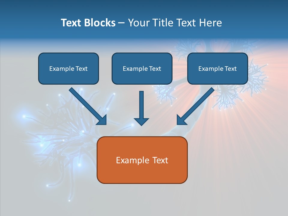 Anatomy Energy D PowerPoint Template