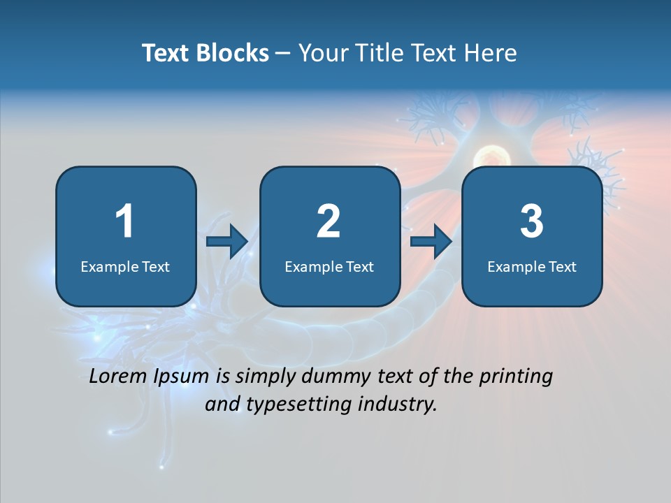 Anatomy Energy D PowerPoint Template