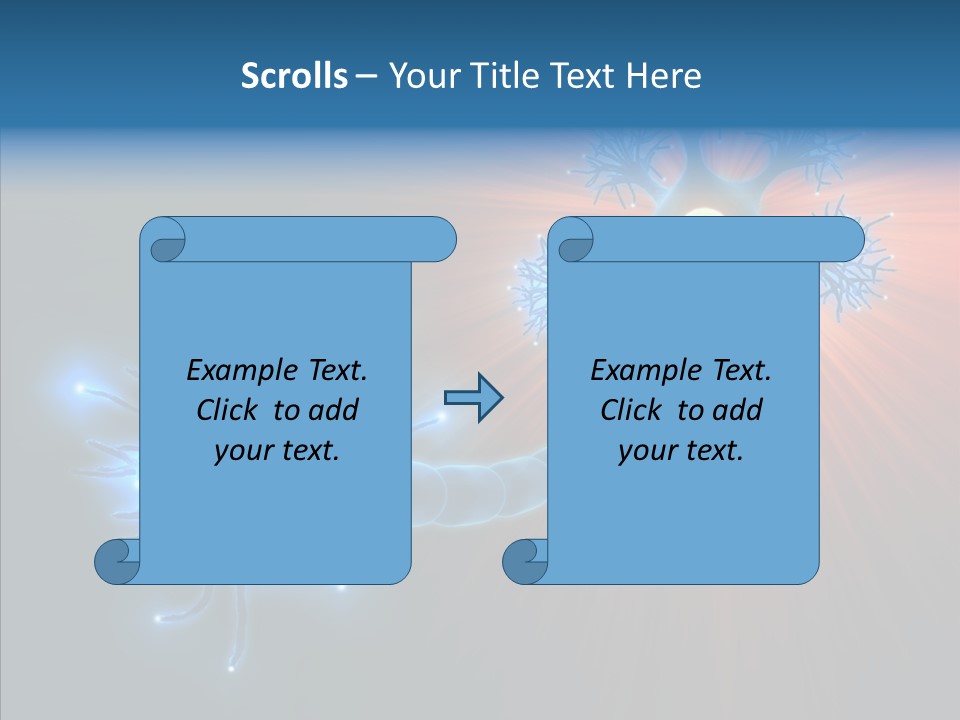 Anatomy Energy D PowerPoint Template