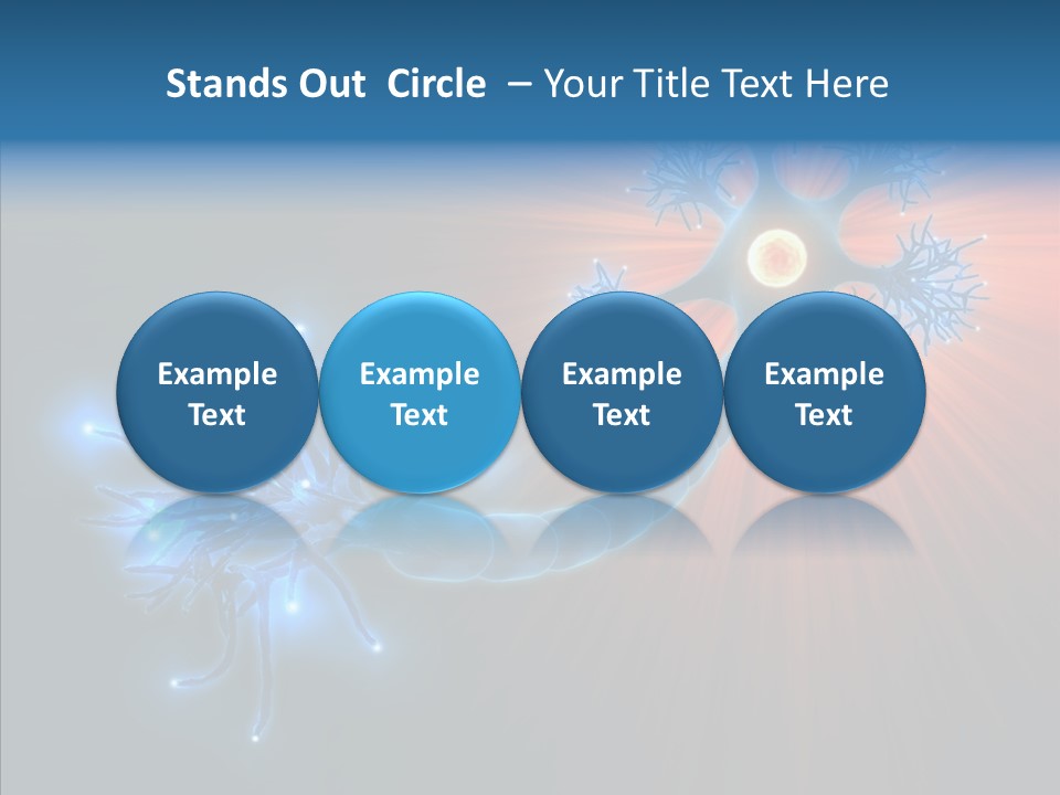 Anatomy Energy D PowerPoint Template