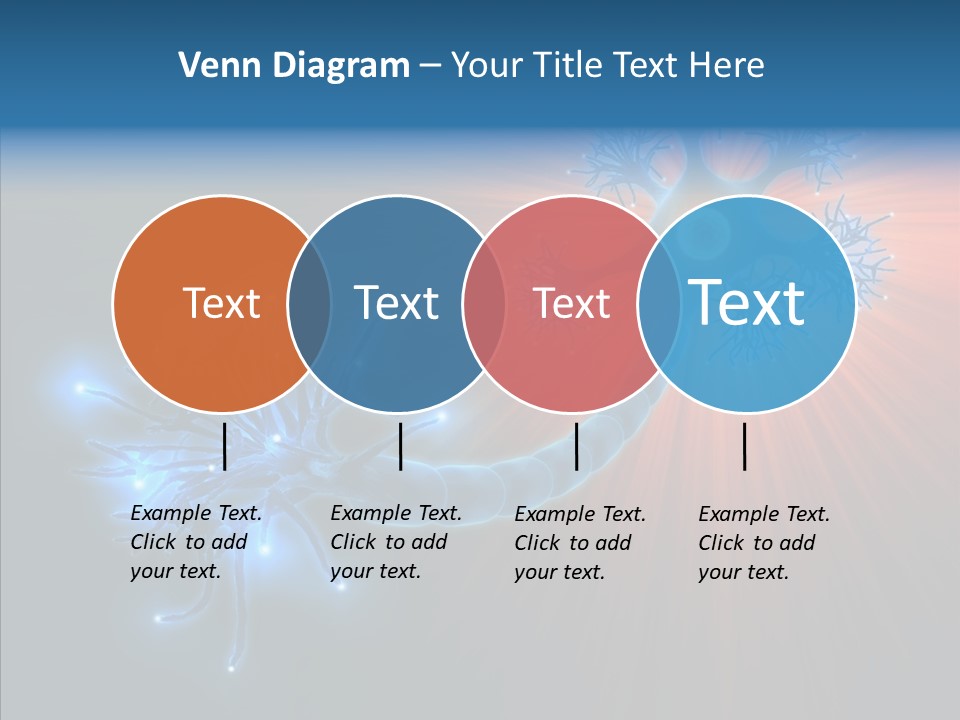 Anatomy Energy D PowerPoint Template