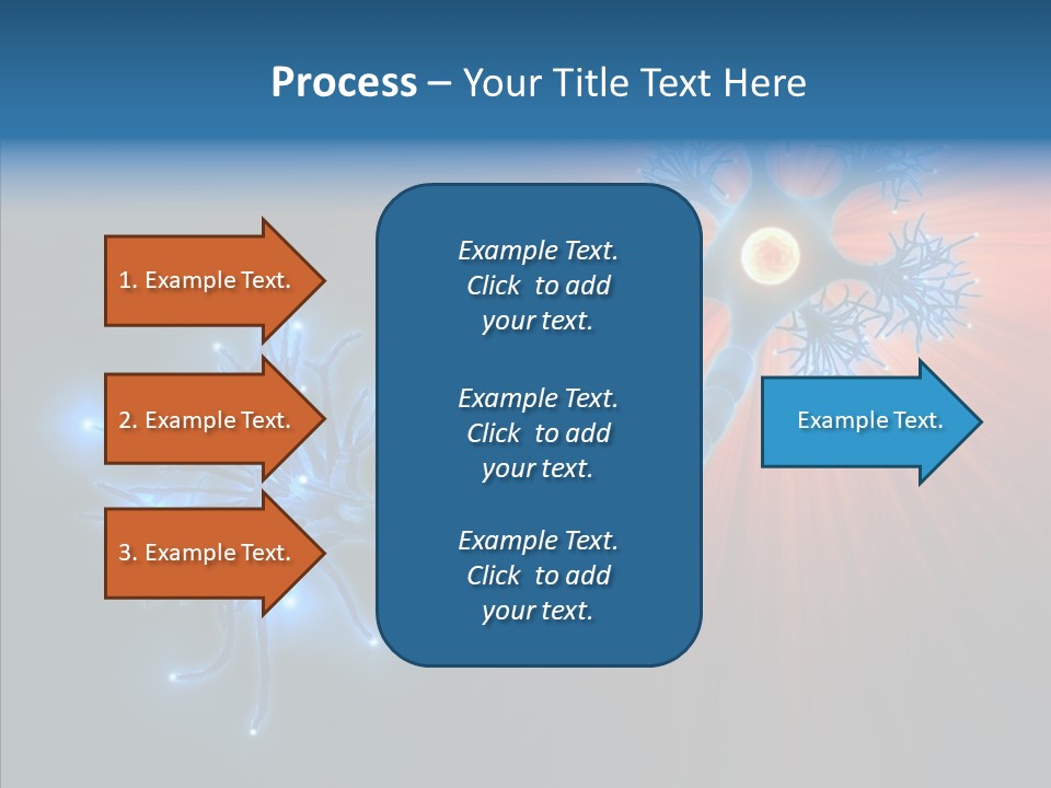 Anatomy Energy D PowerPoint Template