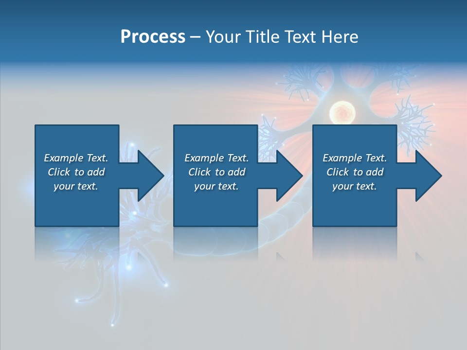 Anatomy Energy D PowerPoint Template